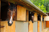 free Muircleugh stable construction quotes